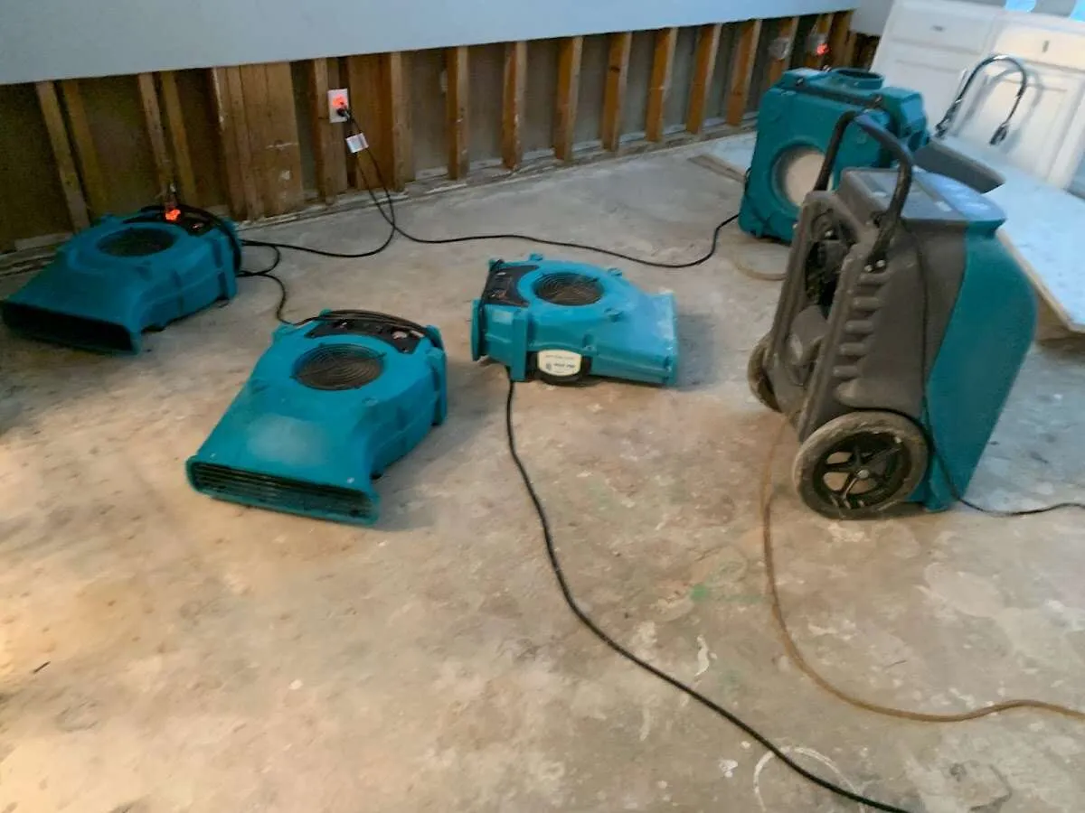 Commercial Water Damage Restoration in Savannah, GA